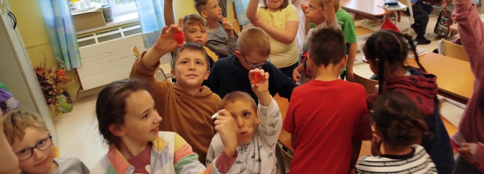 Iskolagyümölcs- és iskolazöldség program